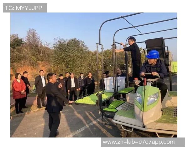 重庆排球队进攻战术解析与球队发展动态深入探讨